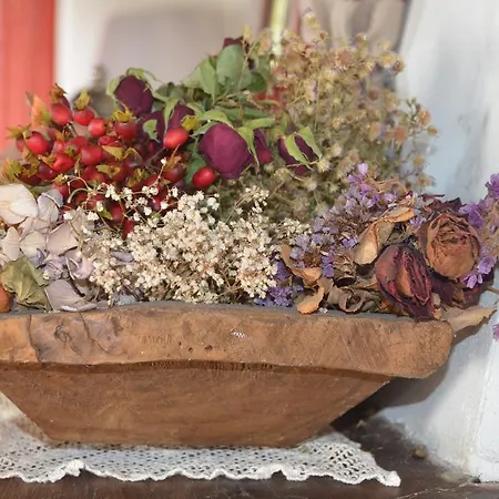 Il Barco ファームステイ