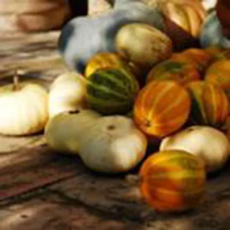 ファームステイ Il Barco *