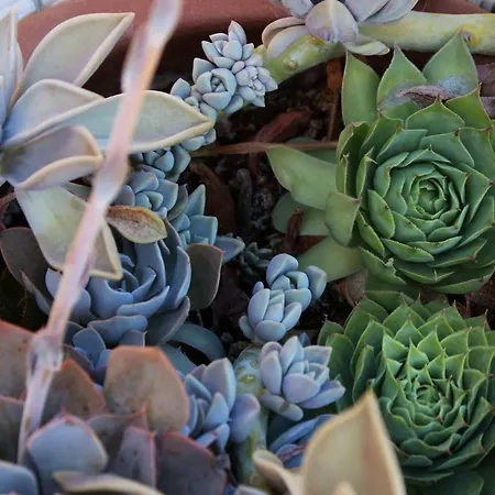 ファームステイ Il Barco *