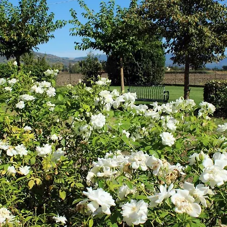 Bauernhof Agriturismo Il *