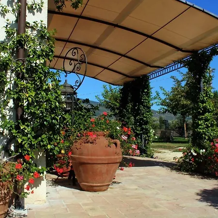 Il Barco スペッロ