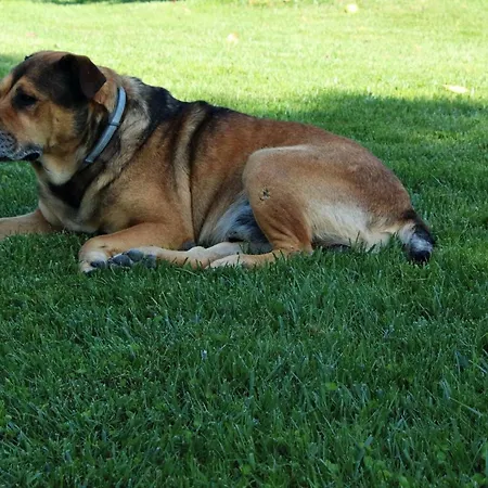 Il Barco * スペッロ