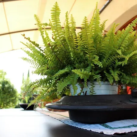 Bauernhof Agriturismo Il *