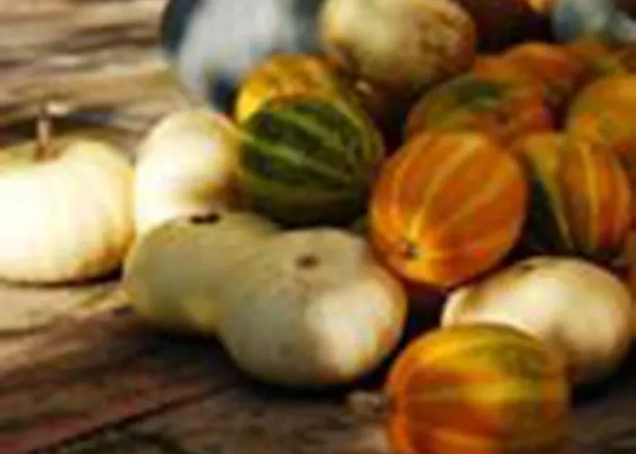 Gospodarstwo agroturystyczne Il Barco *