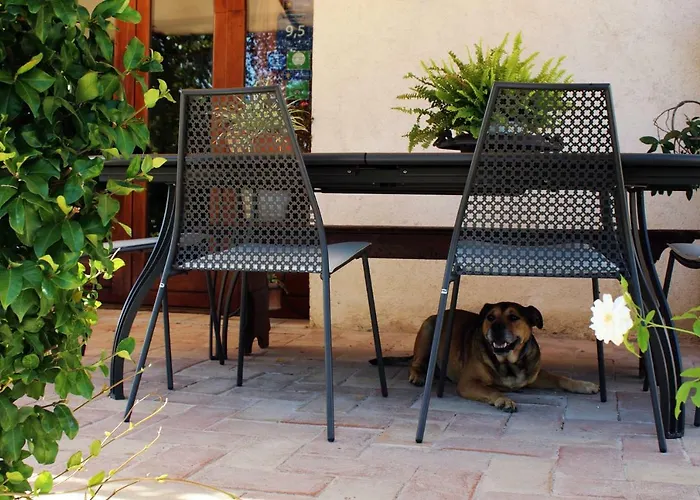 مزرعة للإقامة Il Barco