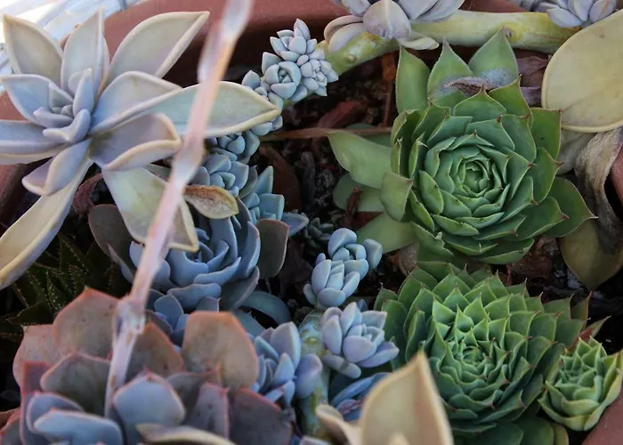 مزرعة للإقامة Il Barco *