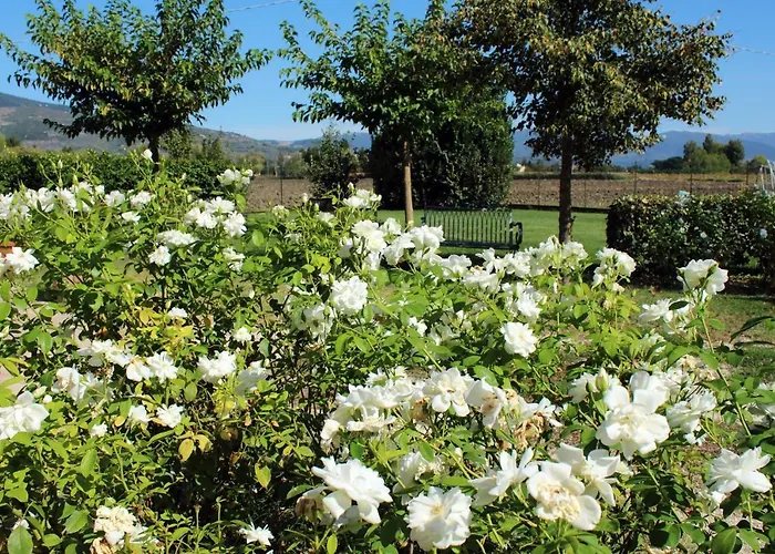 مزرعة للإقامة Il Barco *