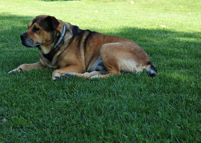 Il Barco * سبيلّو