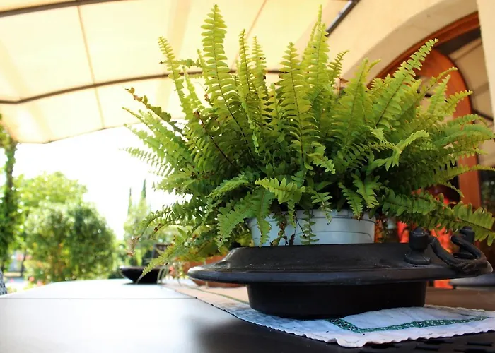 Gospodarstwo agroturystyczne Il Barco *